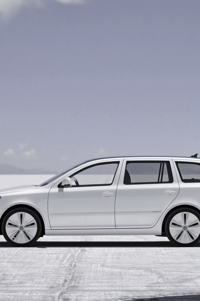 2010 Шкода Октавиа Концепт