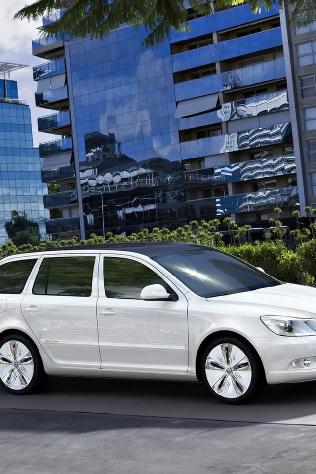 Шкода Октавиа Концепт