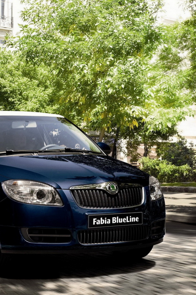 Skoda Fabia Blueline