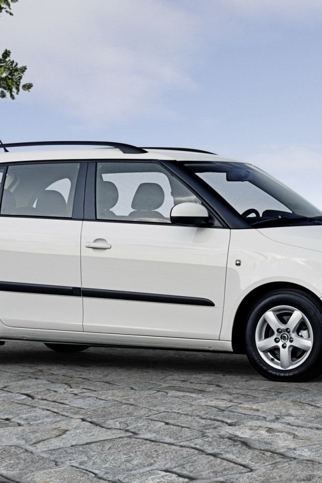 Шкода Фабиа Универсал