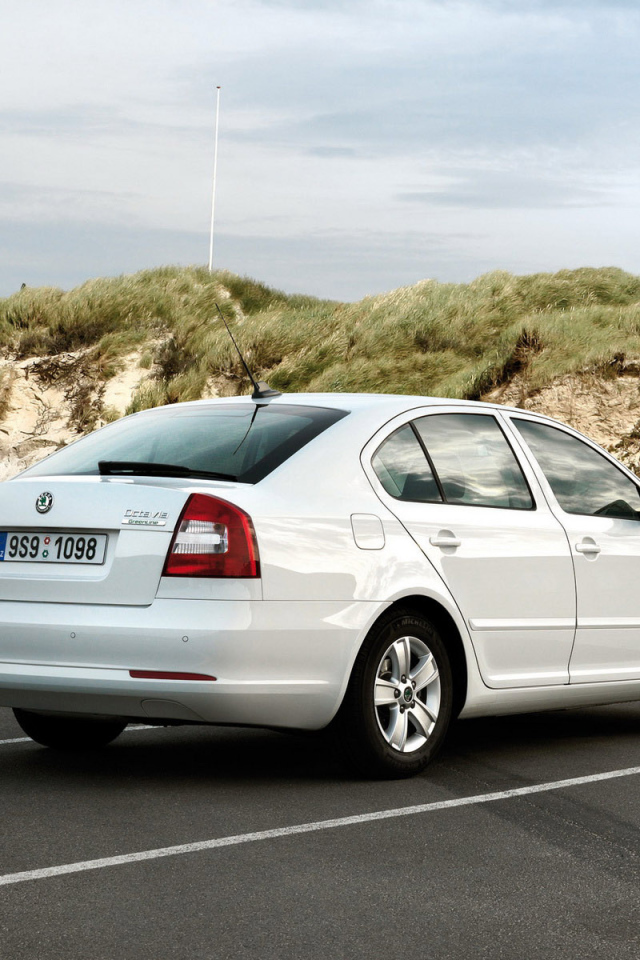 Skoda Octavia на парковке