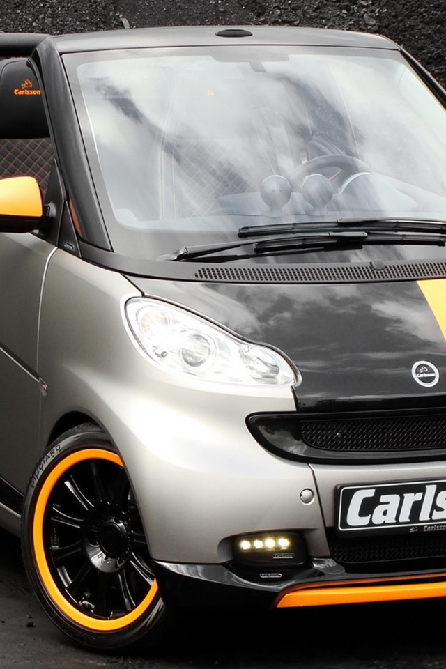 Карлссон Смарт 2010