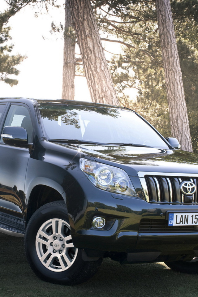 Тойота Лэнд Крузер в лесу