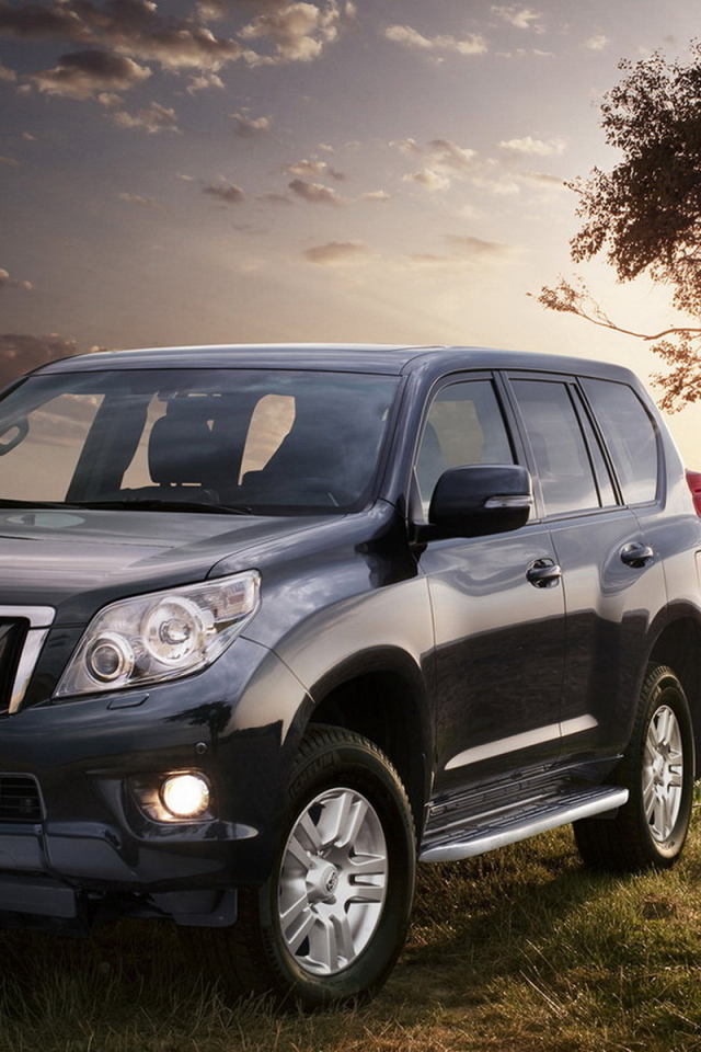 Toyota Land Cruiser возле дерева