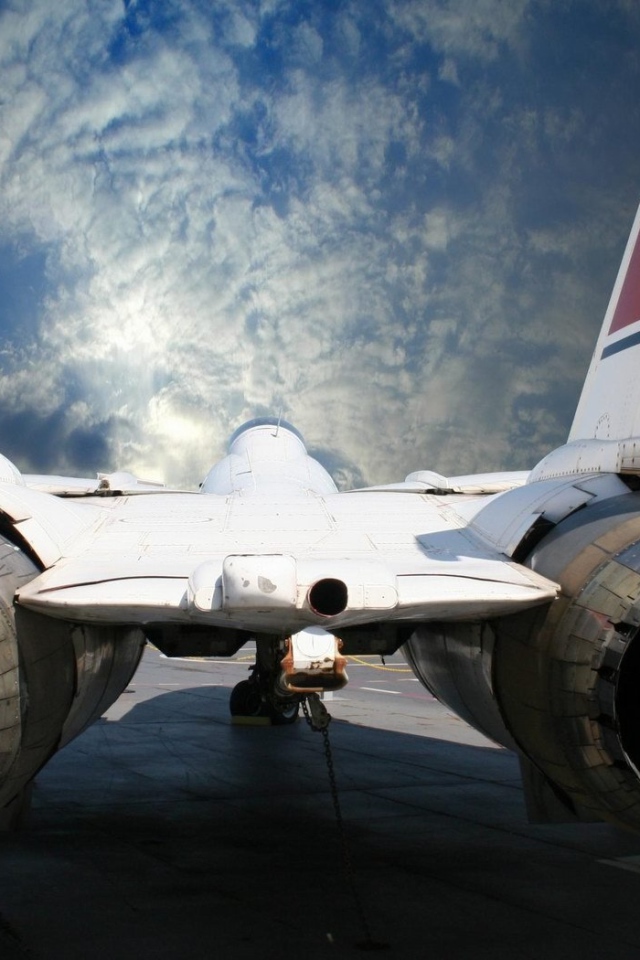 Реактивная, птичка