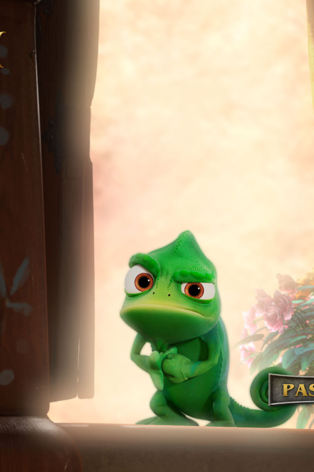 Рапунцель: Запутанная история