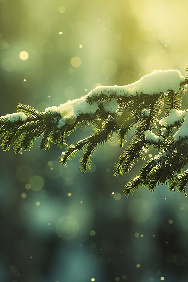 Рождественский снег
