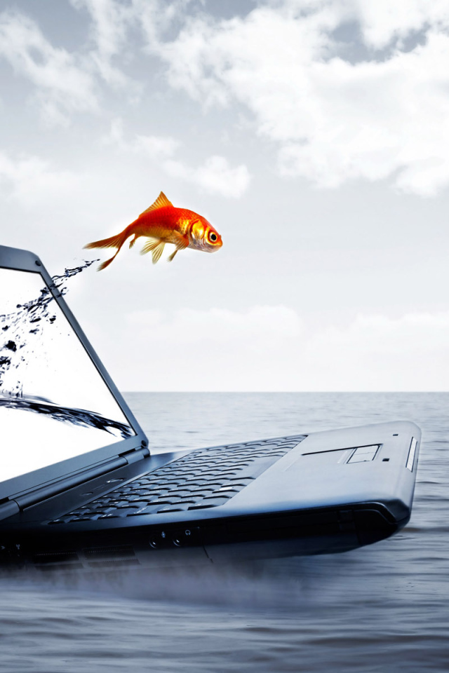 Ноутбук и рыбка