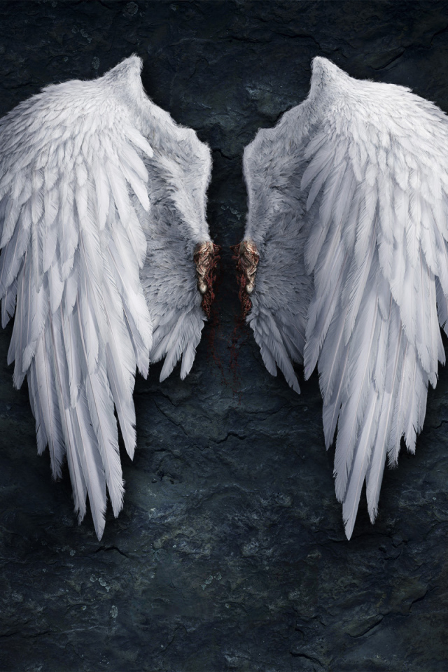 Крылья ангела