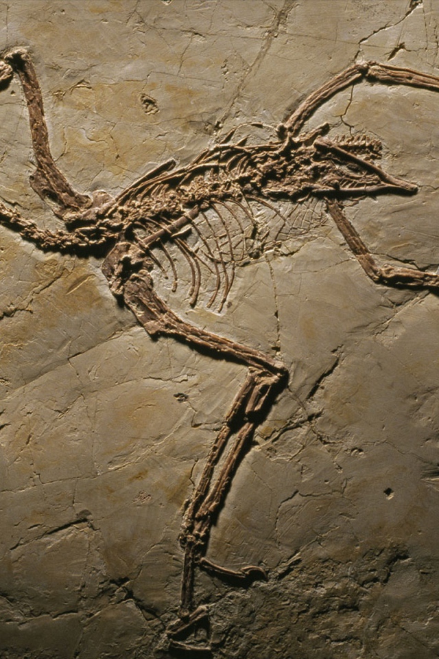 Археология