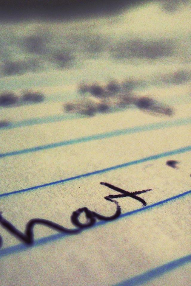 Запись в дневнике