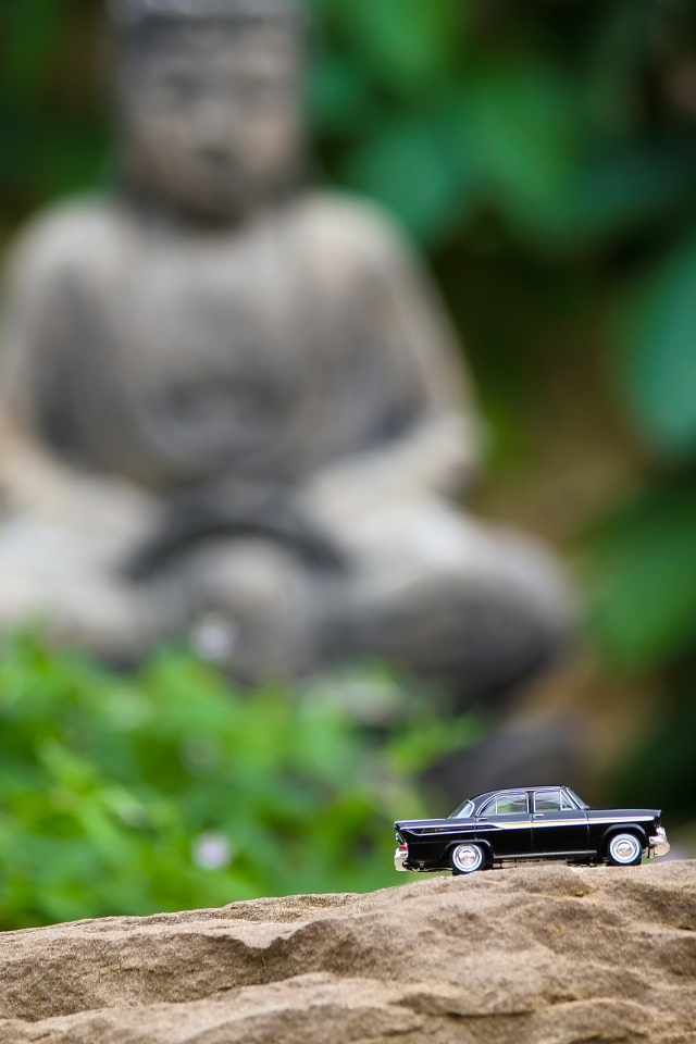 Дорога к Будде