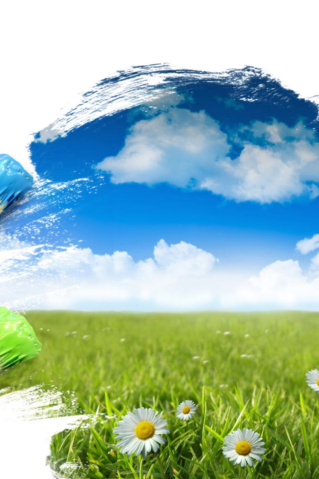 Полевые цветы