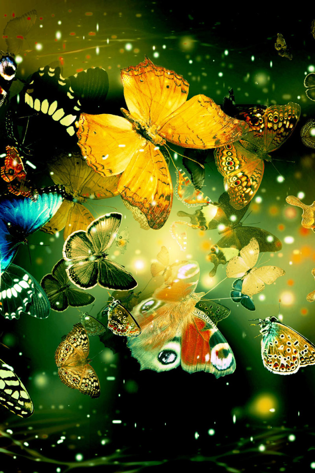 Яркие бабочки