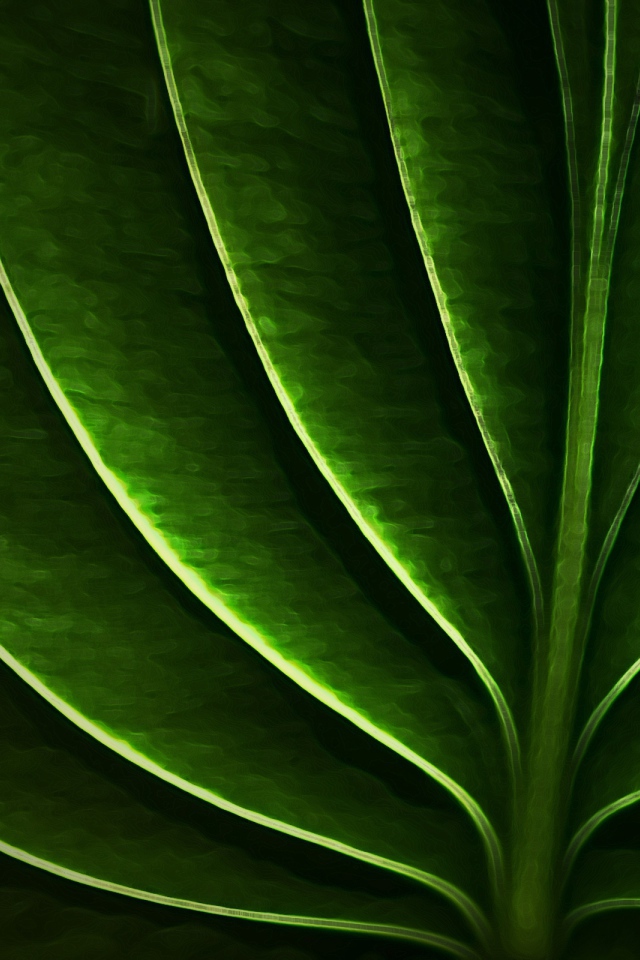 Неоновый листик