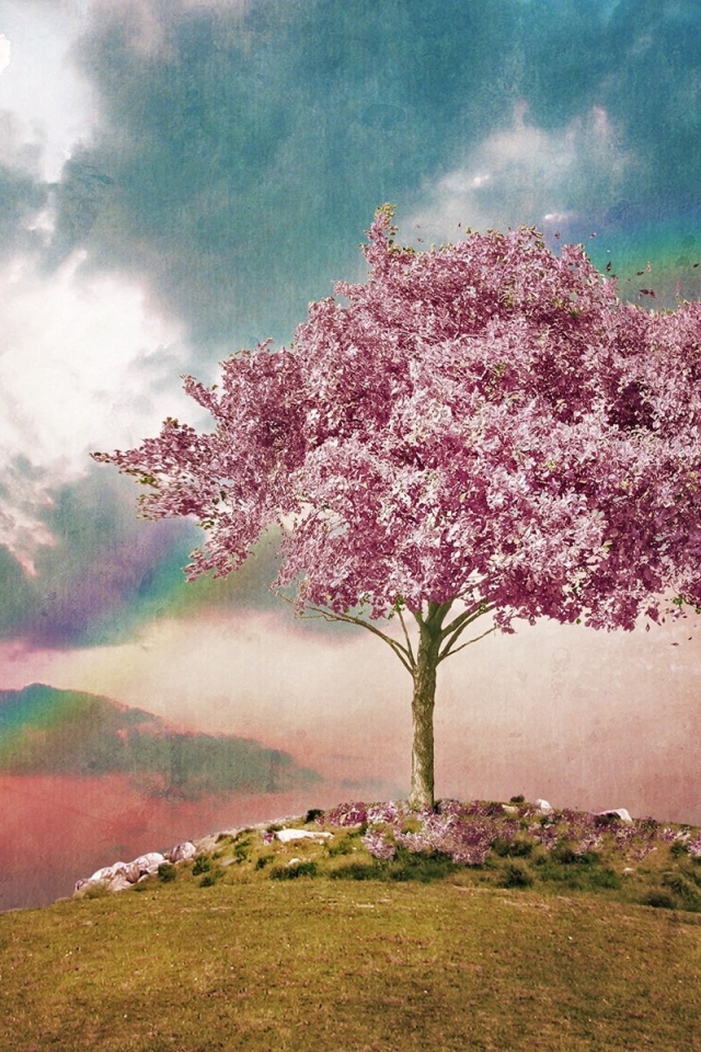 Розовое дерево