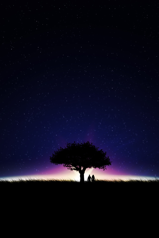 Звезды на ночном небе