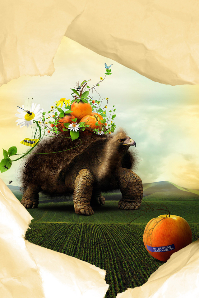 Черепаха и персики