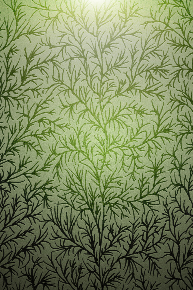 Ветки Лесная текстура