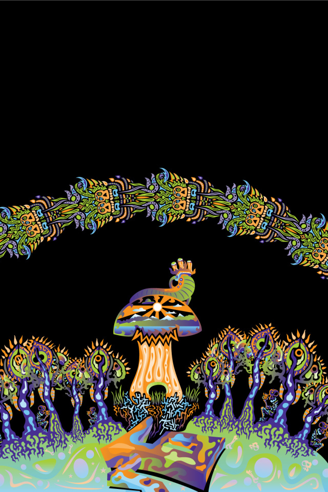 Грибной день