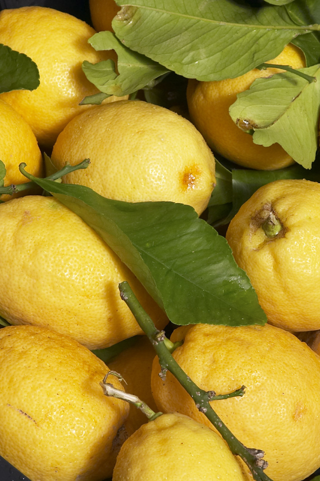 Свежие лимоны