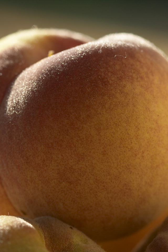 Свежие персики