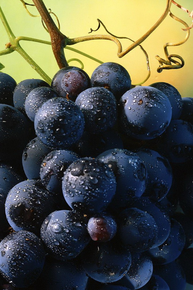 Виноград