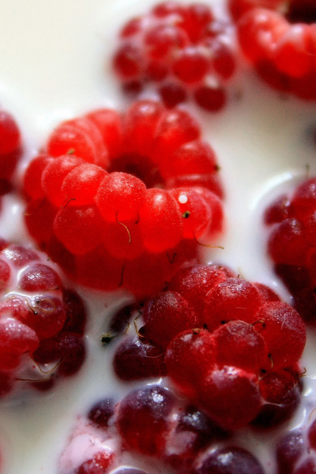 Малина в молоке