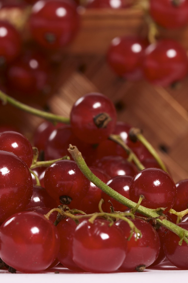 Красная смородина