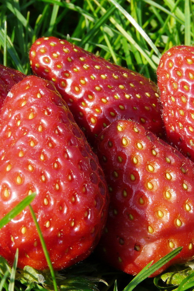 Ripe strawberry