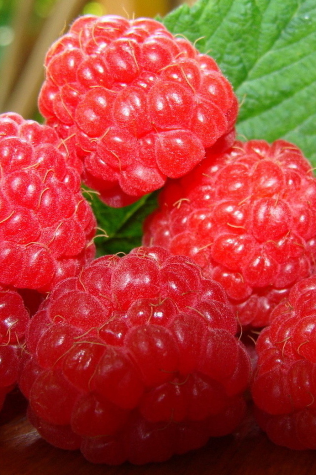 Сладкая малина