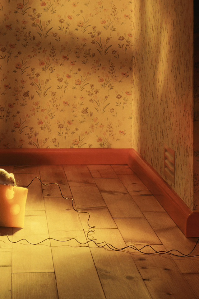 Кошки мышки