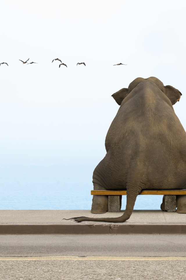Слон на скамеечке
