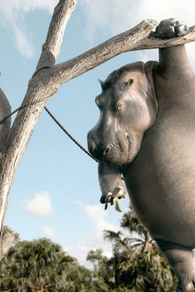 Бегемот с бананом