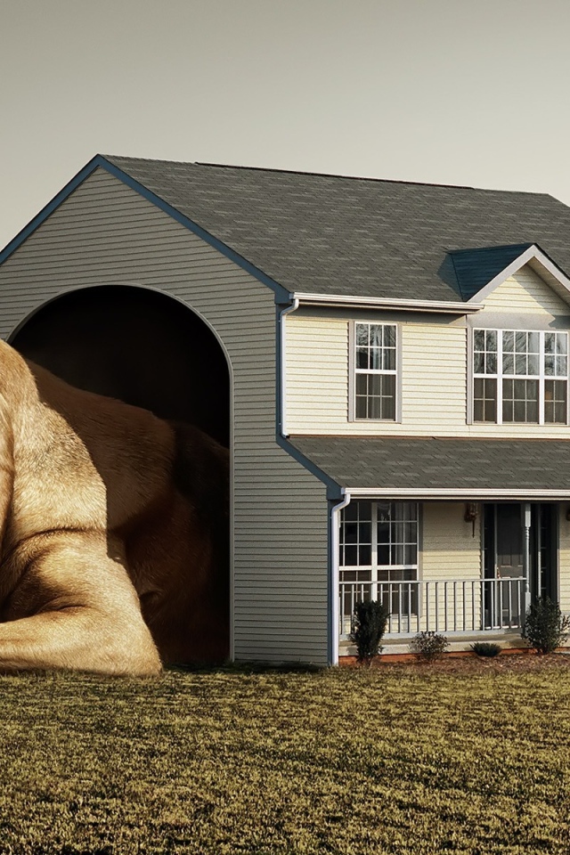 Дом для собаки Будка Конура