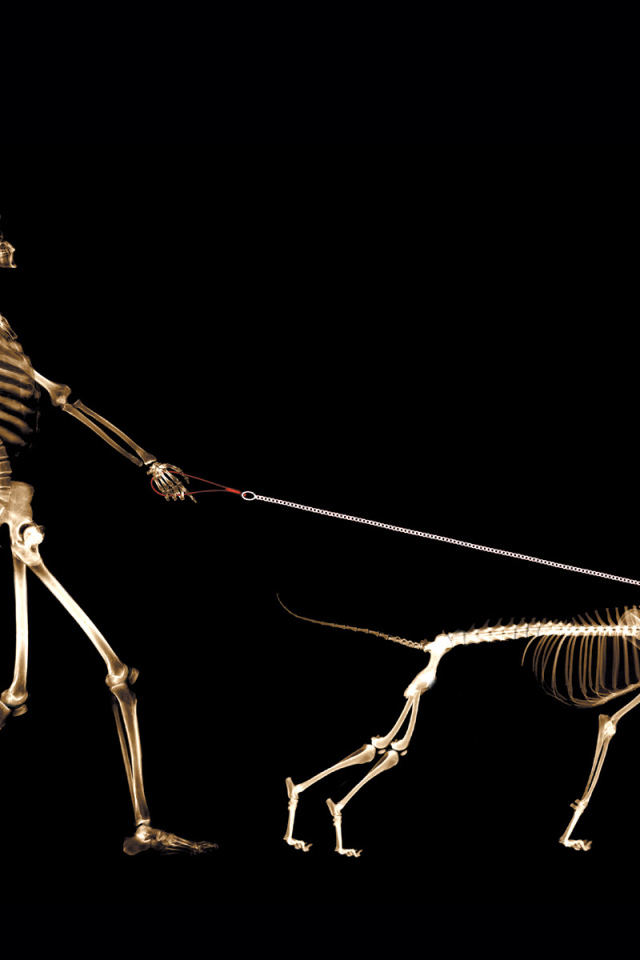 Мобильный сканер тела