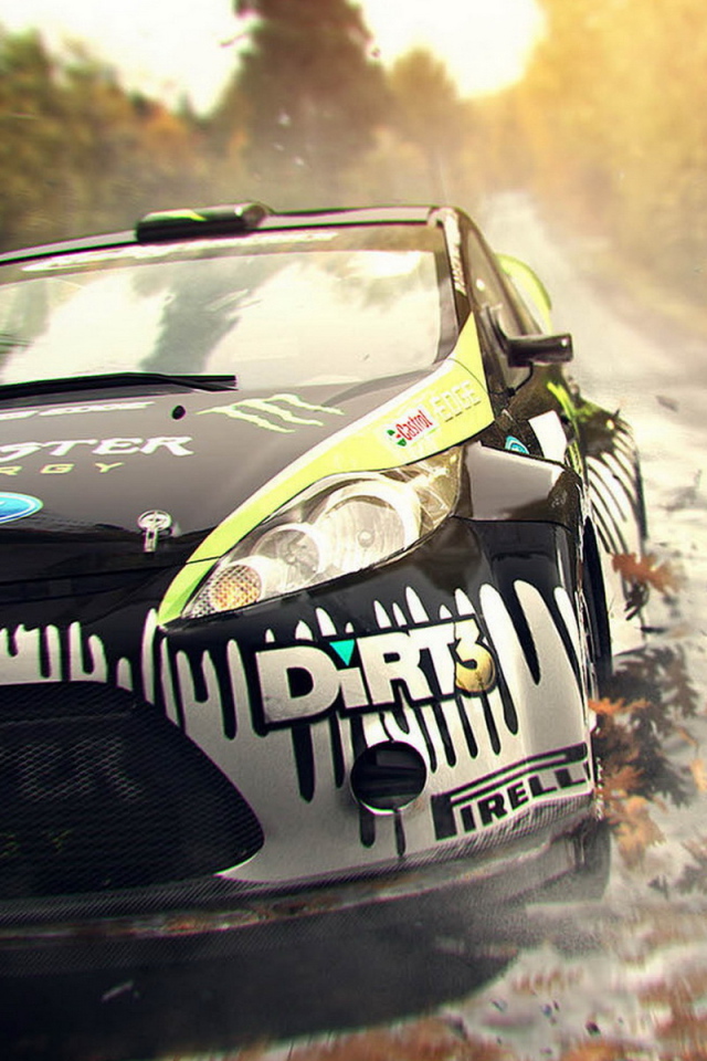 симулятор Colin McRae: Dirt 3