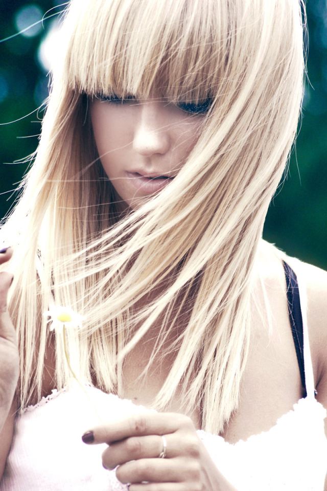 Гадая на ромашке