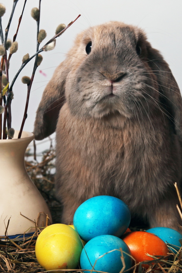Пасхальный кролик