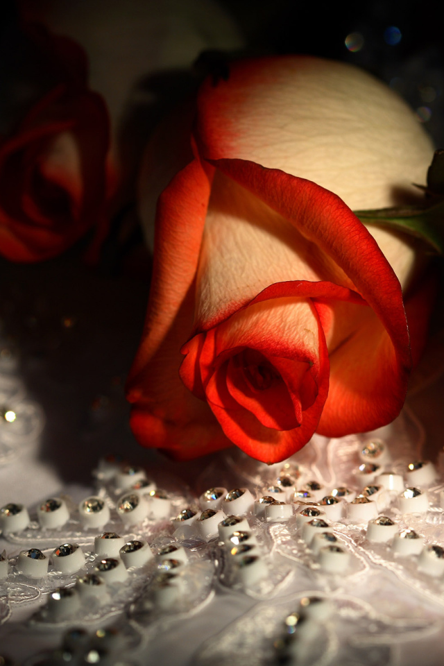 Красивые цветы девушкам