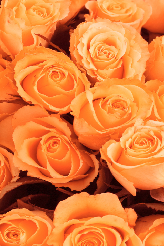 Красивые цветы к 8 Марта