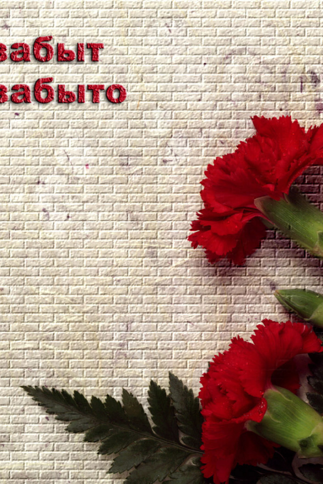 Ветеранам на 9 Мая