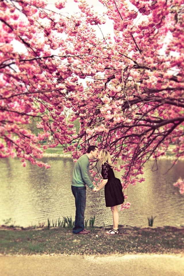 Влюбленные под сакурой