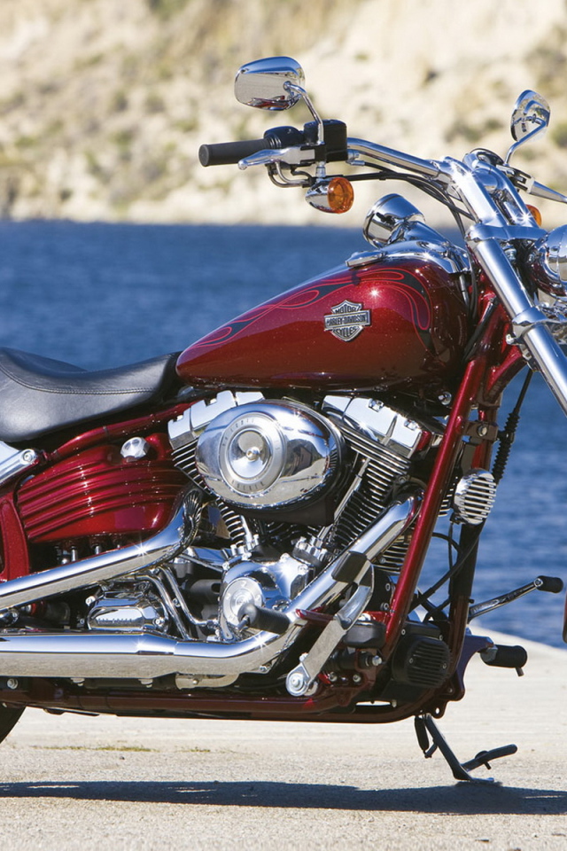 Харлей Девидсон FXCWC