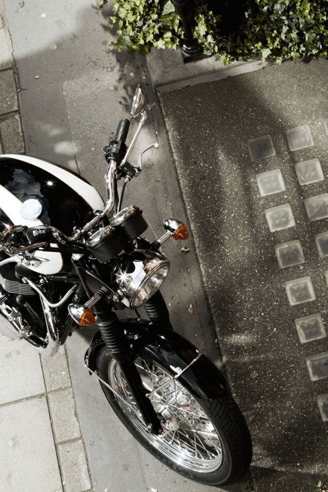 Новый Триумф Бонневелле