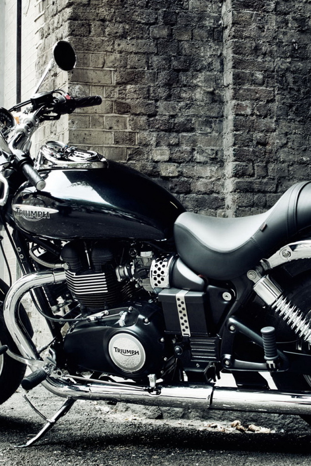 Triumph Speedmaster 2010