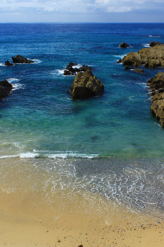 На берегу моря