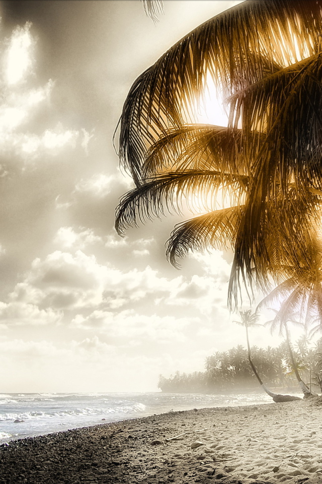 Пляж и пальмы