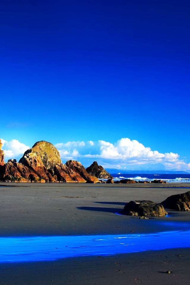 Яркие краски побережья