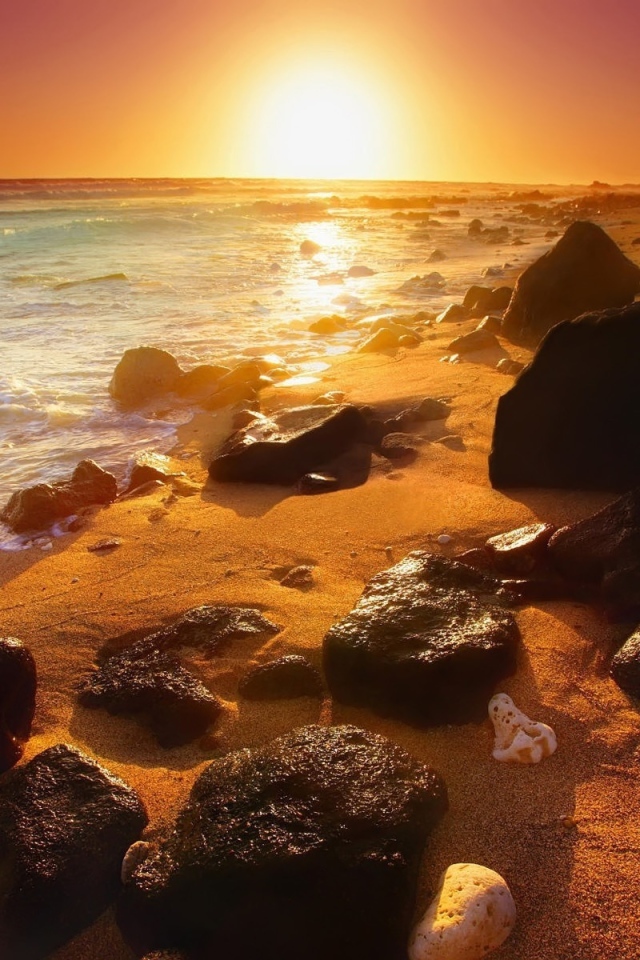 Заброшенный пляж